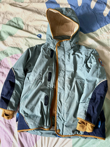 Finkid talvinen husky - finkid,